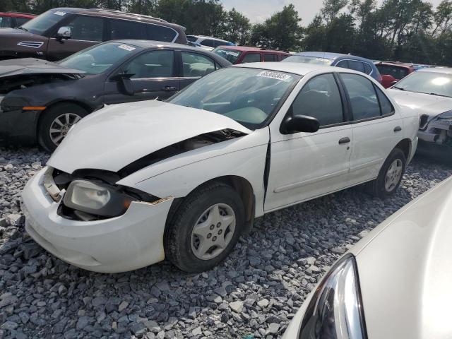 CHEVROLET CAVALIER 2004 with VIN 1G1JC52F047291678 - Photo from auction