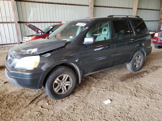 HONDA PILOT EXL 2005 with VIN 5FNYF18565B013819 - Photo from auction