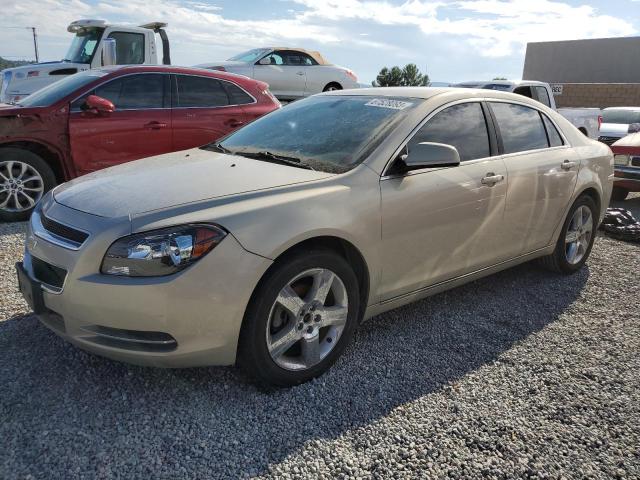 CHEVROLET MALIBU 2LT 2011 with VIN 1G1ZD5EU2BF232404 - Photo from auction