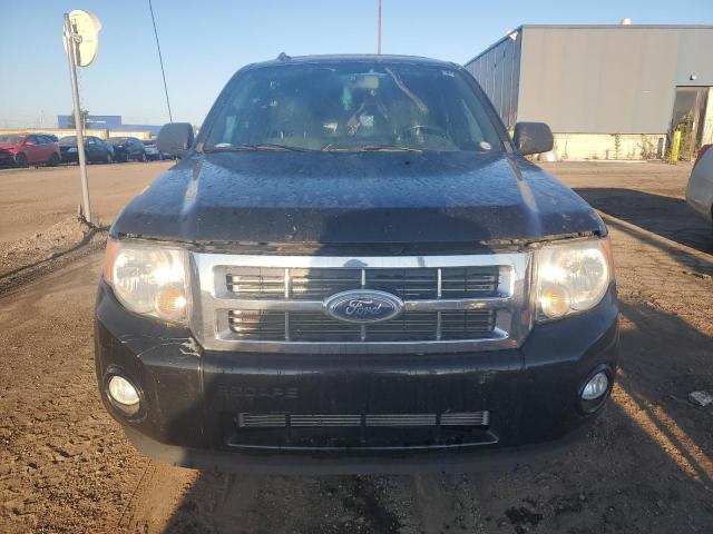 Снимка 5 от търг – 2010 FORD ESCAPE XLT с VIN 1FMCU0DG3AKC82922