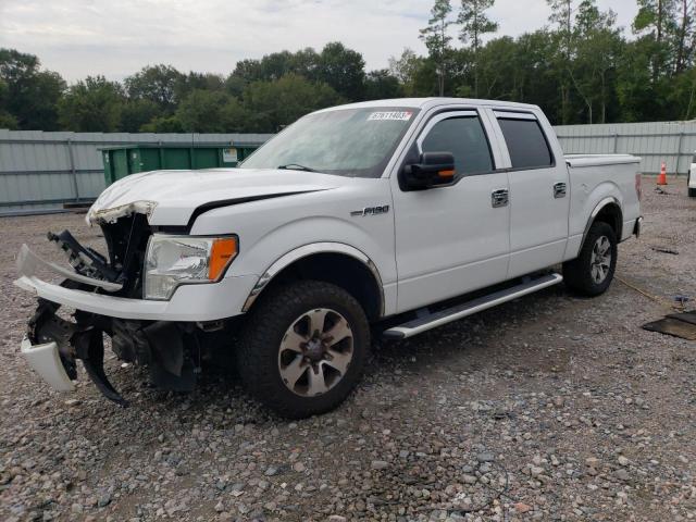 FORD F150 2011 with VIN 1FTEW1CM8BFA32073 - Photo from auction