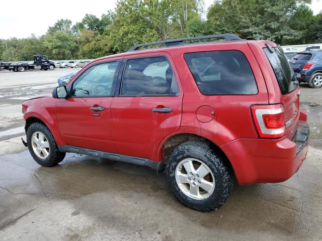 Photo 2 from auction – 2011 FORD ESCAPE XLT with VIN 1FMCU0D77BKA42709