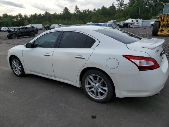 Photo 2 from auction – 2010 NISSAN MAXIMA S with VIN 1N4AA5AP1AC812830