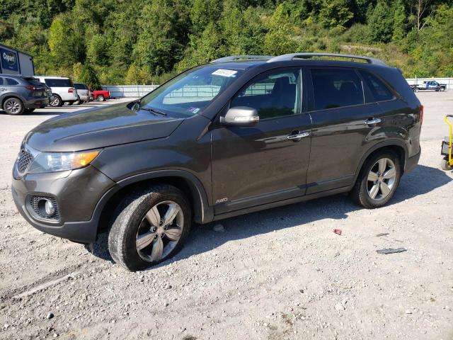 KIA SORENTO EX 2013 with VIN 5XYKUDA2XDG368013 - Photo from auction