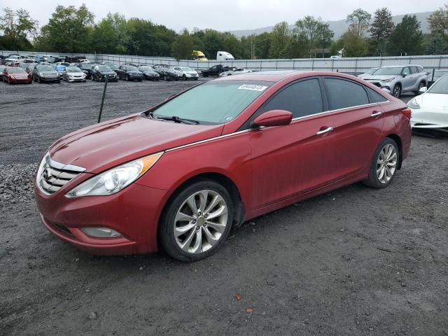 HYUNDAI SONATA SE 2011 with VIN 5NPEC4AC6BH174755 - Photo from auction