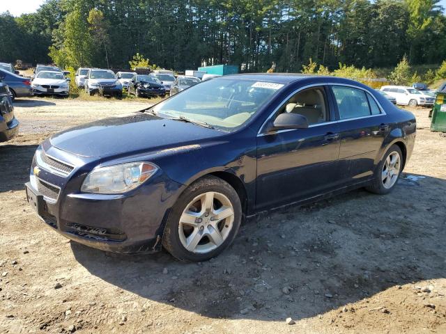 CHEVROLET MALIBU LS 2012 with VIN 1G1ZB5E02CF235999 - Photo from auction