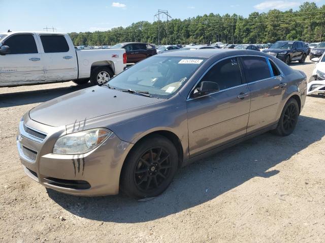 CHEVROLET MALIBU LS 2012 with VIN 1G1ZB5E02CF169924 - Photo from auction