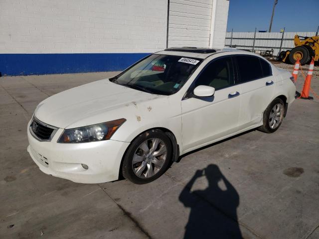 HONDA ACCORD EXL 2010 with VIN 1HGCP3F83AA002264 - Photo from auction