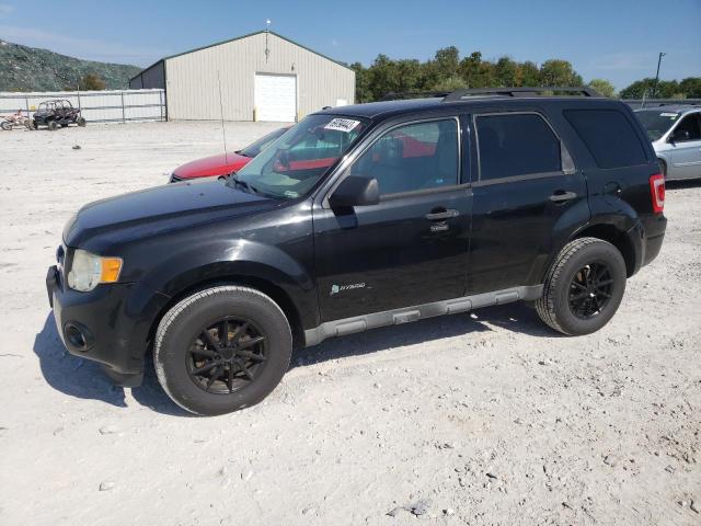 FORD ESCAPE HYB 2011 with VIN 1FMCU5K31BKA09668 - Photo from auction
