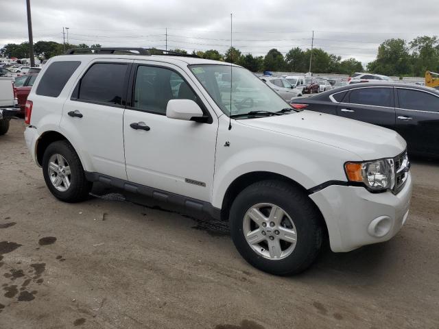 Photo 4 from auction – 2008 FORD ESCAPE HEV with VIN 1FMCU59H28KC63206