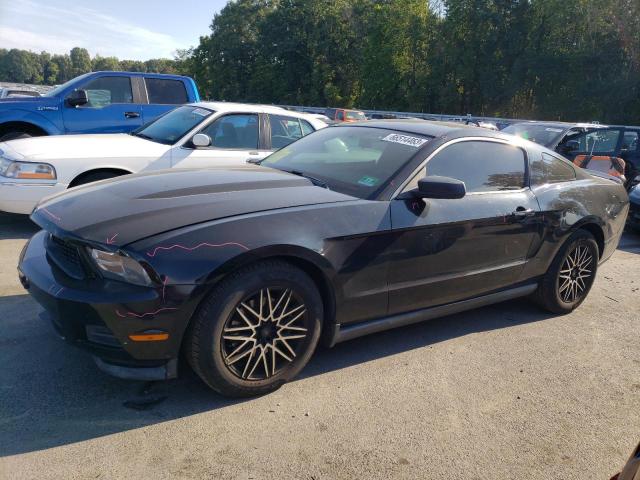 FORD MUSTANG 2012 with VIN 1ZVBP8AM0C5280107 - Photo from auction