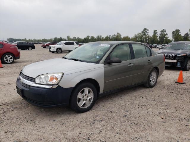 CHEVROLET MALIBU LS 2005 with VIN 1G1ZT548X5F117352 - Photo from auction