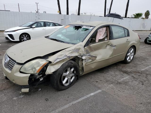NISSAN MAXIMA SE 2004 with VIN 1N4BA41EX4C834407 - Photo from auction