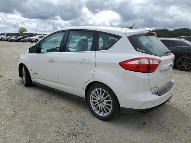 Photo 2 from auction – 2013 FORD C-MAX SEL with VIN 1FADP5BU4DL556901