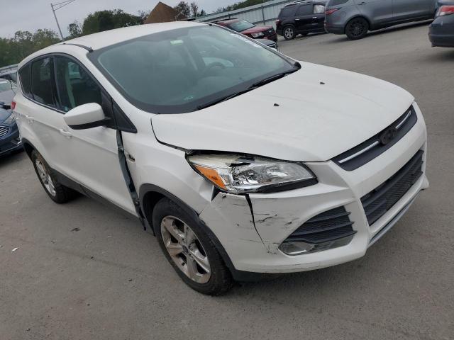 Photo 4 from auction – 2014 FORD ESCAPE SE with VIN 1FMCU0GX3EUA49936
