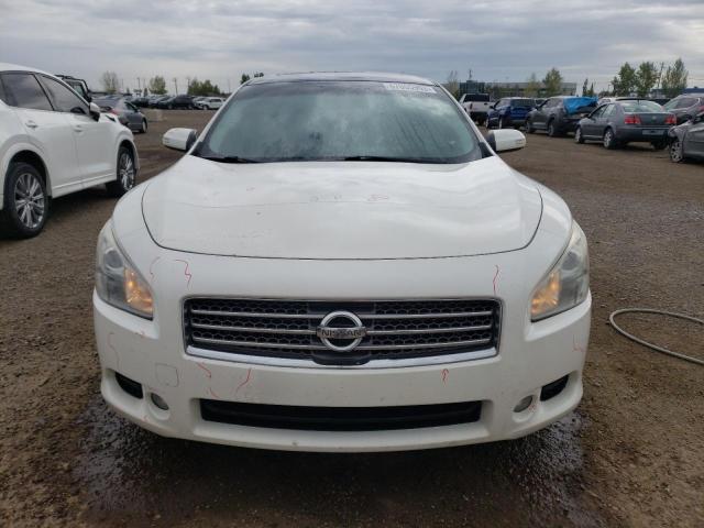 Photo 5 from auction – 2010 NISSAN MAXIMA S with VIN 1N4AA5AP4AC840959