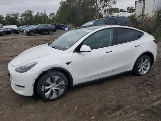 TESLA MODEL Y 2023 with VIN 7SAYGAEE4PF668679 - Photo from auction
