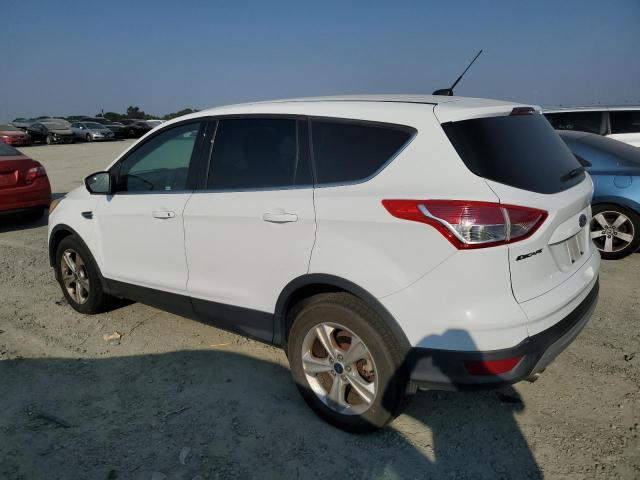 Photo 2 from auction – 2014 FORD ESCAPE SE with VIN 1FMCU0GX6EUD10380