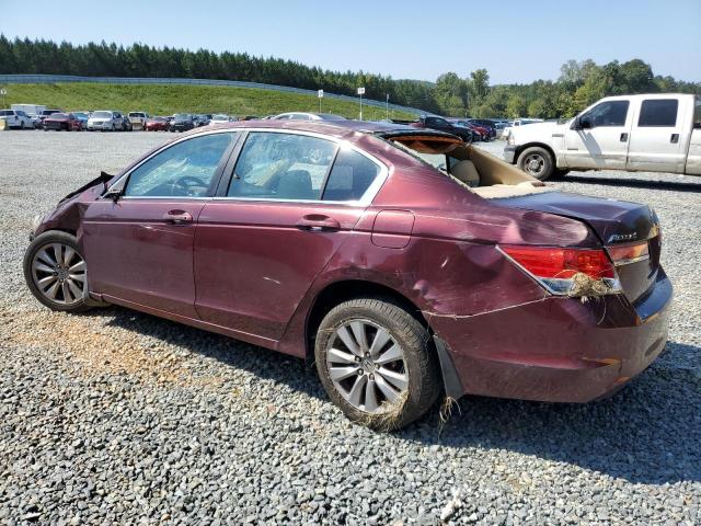 Photo 2 from auction – 2011 HONDA ACCORD EXL with VIN 1HGCP2F83BA038970