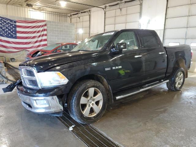 DODGE RAM 1500 2009 with VIN 1D3HV13T09S755609 - Photo from auction