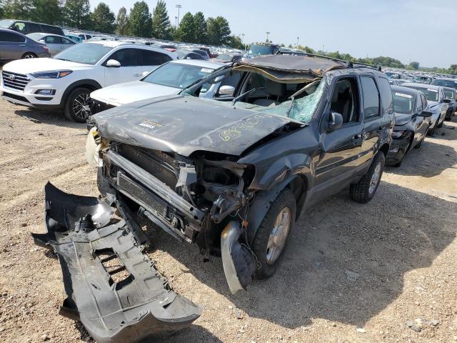Photo 1 from auction – 2007 FORD ESCAPE XLT with VIN 1FMYU03167KA28701