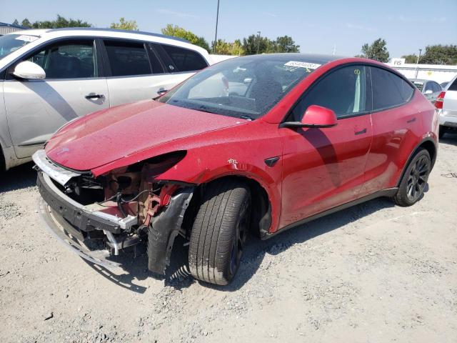 TESLA MODEL Y 2023 with VIN 7SAYGDEE6PF696565 - Photo from auction