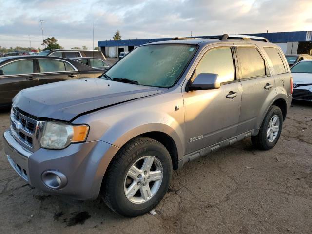 FORD ESCAPE HEV 2008 with VIN 1FMCU49H08KA55755 - Photo from auction