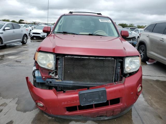Photo 5 from auction – 2010 FORD ESCAPE with VIN 1FMCU0EG0AKC46751