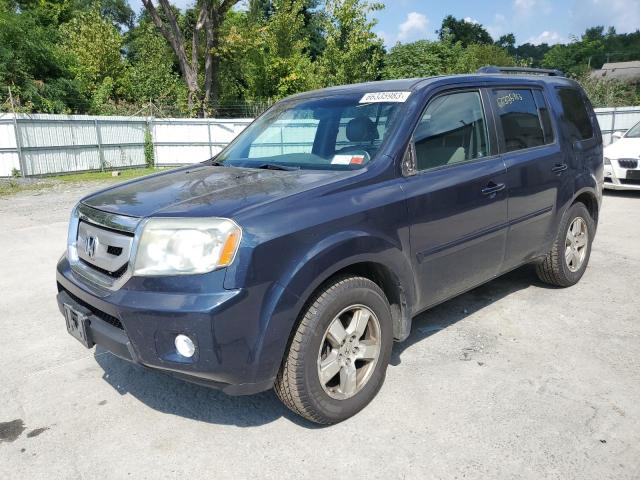 HONDA PILOT EXL 2011 with VIN 5FNYF4H51BB042514 - Photo from auction