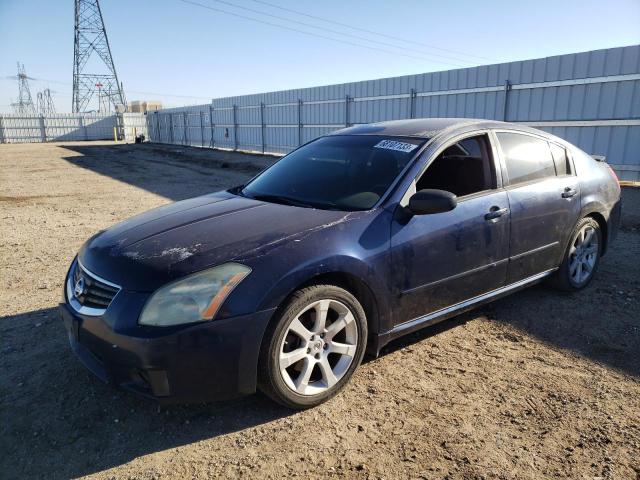 NISSAN MAXIMA SE 2008 with VIN 1N4BA41E48C838300 - Photo from auction