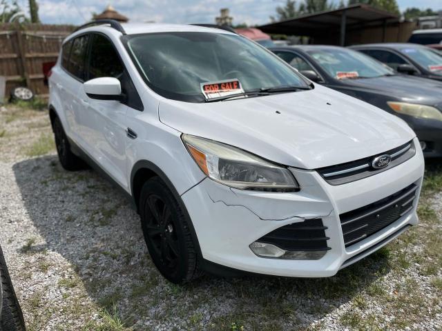 FORD ESCAPE SE 2014 with VIN 1FMCU0G91EUE51438 - Photo from auction