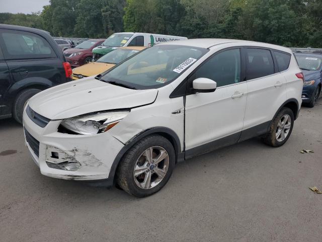 FORD ESCAPE SE 2014 with VIN 1FMCU0GX3EUA49936 - Photo from auction