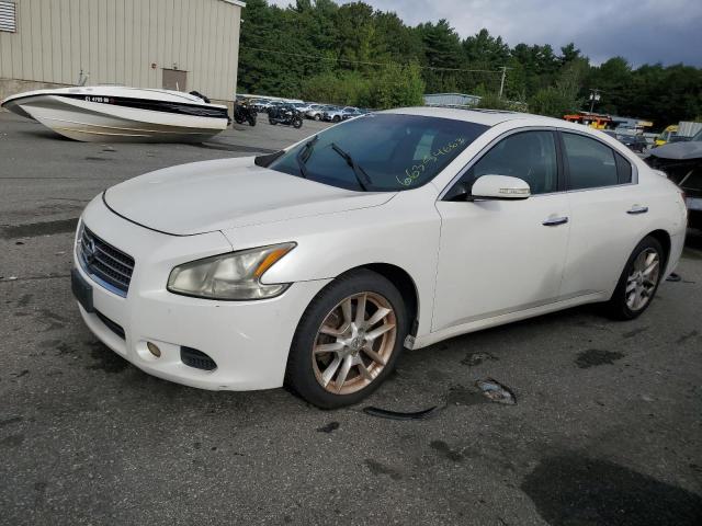 NISSAN MAXIMA S 2011 with VIN 1N4AA5APXBC867908 - Photo from auction