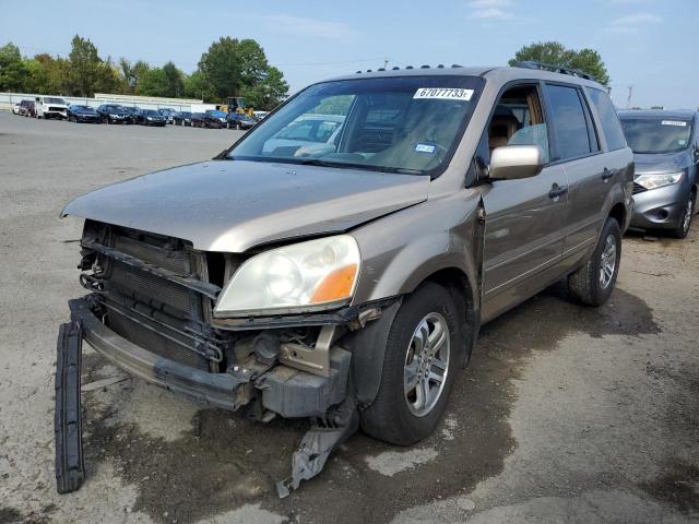 HONDA PILOT EXL 2005 with VIN 5FNYF18635B060489 - Photo from auction