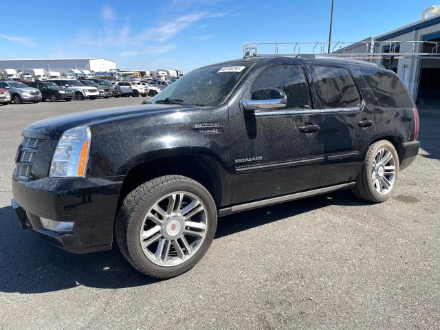 CADILLAC ESCALADE P 2014 with VIN 1GYS3CEF0ER116763 - Photo from auction
