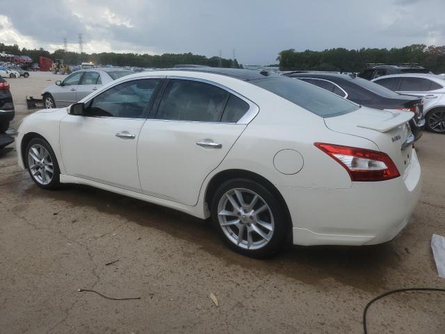 Photo 2 from auction – 2011 NISSAN MAXIMA S with VIN 1N4AA5AP8BC812406