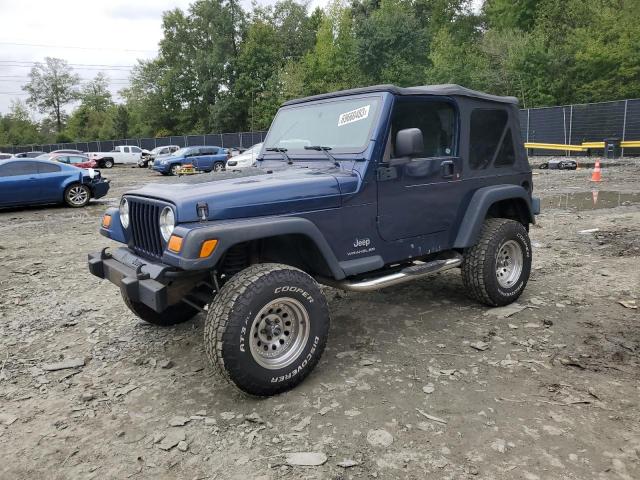 JEEP WRANGLER / 2003 with VIN 1J4FA29163P356845 - Photo from auction