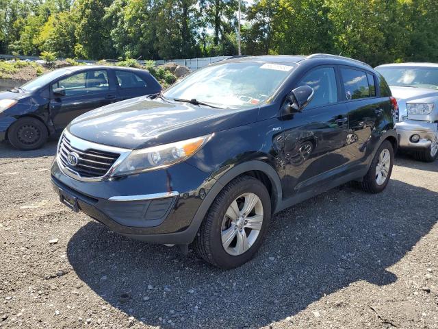 KIA SPORTAGE L 2011 with VIN KNDPBCA27B7088288 - Photo from auction