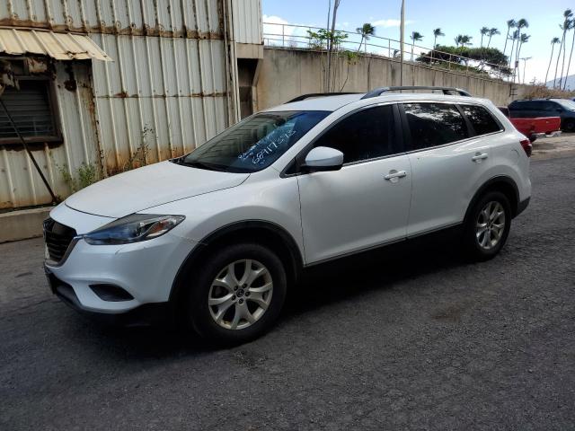 MAZDA CX-9 TOURI 2013 with VIN JM3TB2CA6D0418082 - Photo from auction