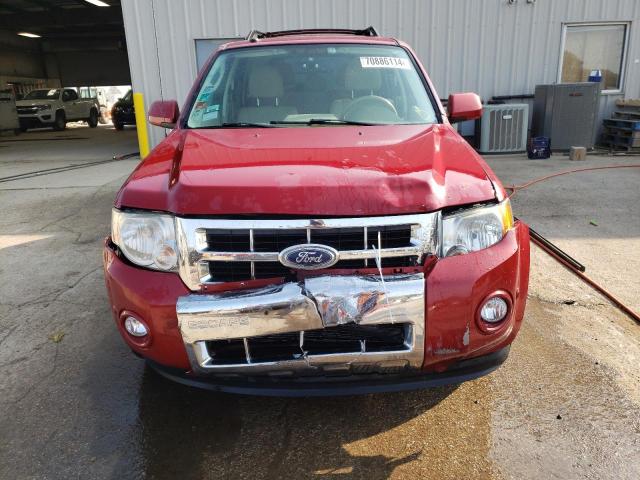 Photo 5 from auction – 2011 FORD ESCAPE LIM with VIN 1FMCU0EG6BKA86697