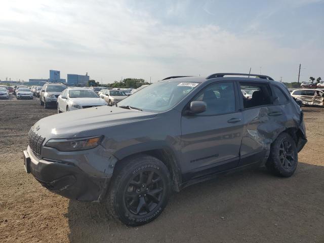 JEEP CHEROKEE L 2019 with VIN 1C4PJMCX8KD431192 - Photo from auction