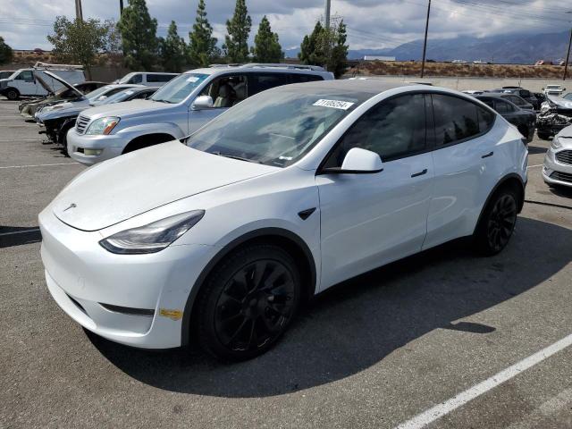 TESLA MODEL Y 2020 with VIN 5YJYGDEE6LF059019 - Photo from auction
