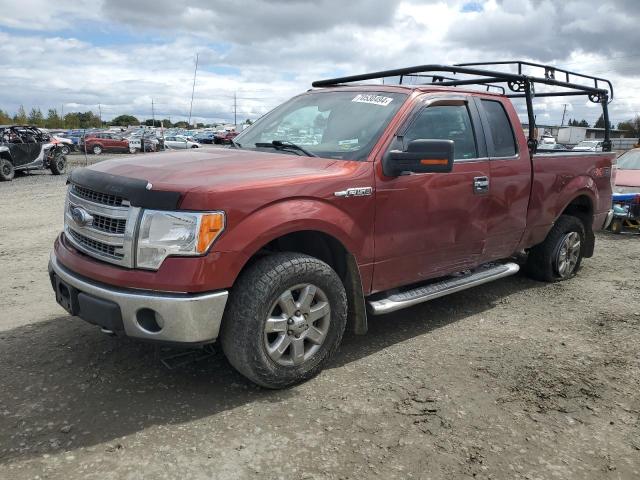 FORD F150 SUPER 2014 with VIN 1FTFX1EF7EKF41437 - Photo from auction