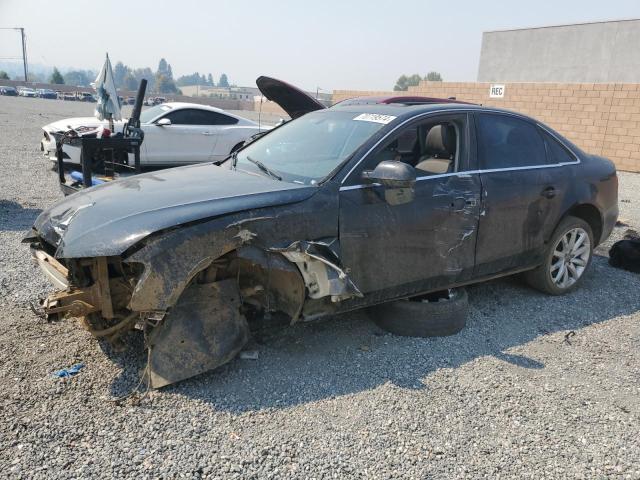 AUDI A4 PREMIUM 2013 with VIN WAUEFAFL8DN038724 - Photo from auction