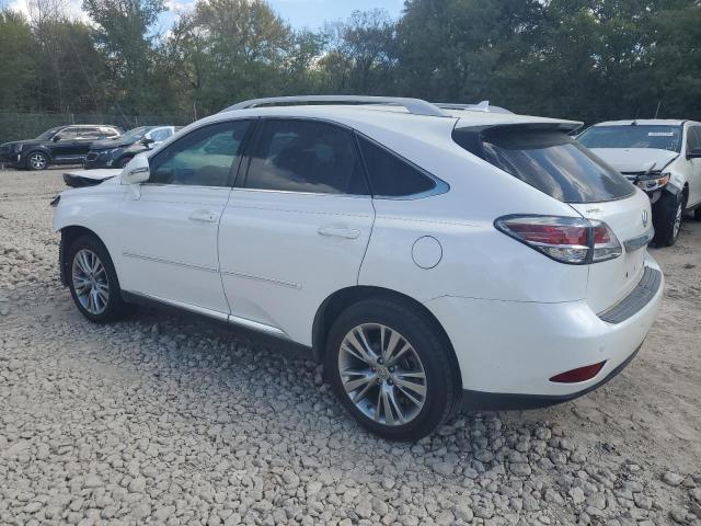 Photo 2 from auction – 2013 LEXUS RX 350 with VIN 2T2ZK1BA9DC121579