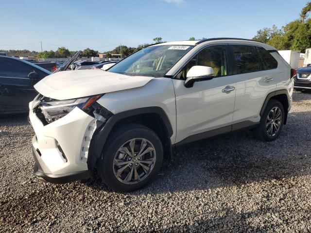 TOYOTA RAV4 LIMIT 2024 with VIN JTMD6RFV0RJ054042 - Photo from auction