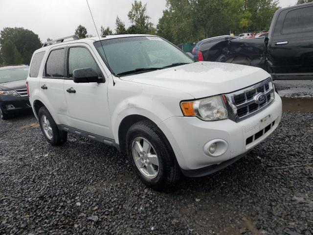 Photo 4 from auction – 2010 FORD ESCAPE XLT with VIN 1FMCU0DG9AKC79829