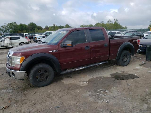 Photo 1 from auction – 2010 FORD F150 SUPER with VIN 1FTFW1EV8AFD15291