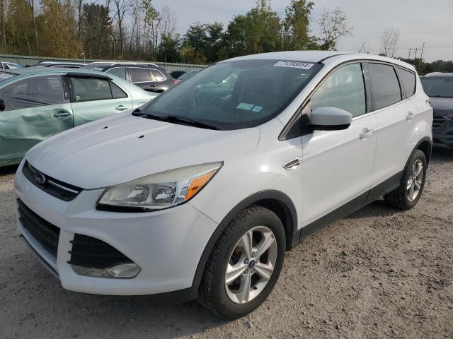 FORD ESCAPE SE 2014 with VIN 1FMCU0GX4EUB54615 - Photo from auction