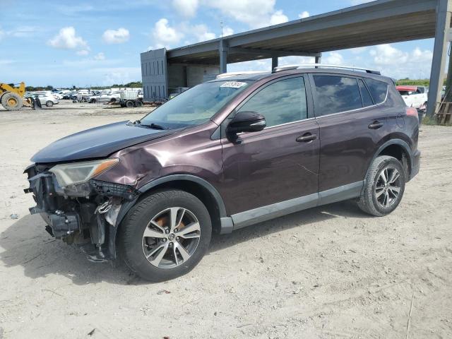 TOYOTA RAV4 XLE 2016 with VIN 2T3WFREV1GW247146 - Photo from auction